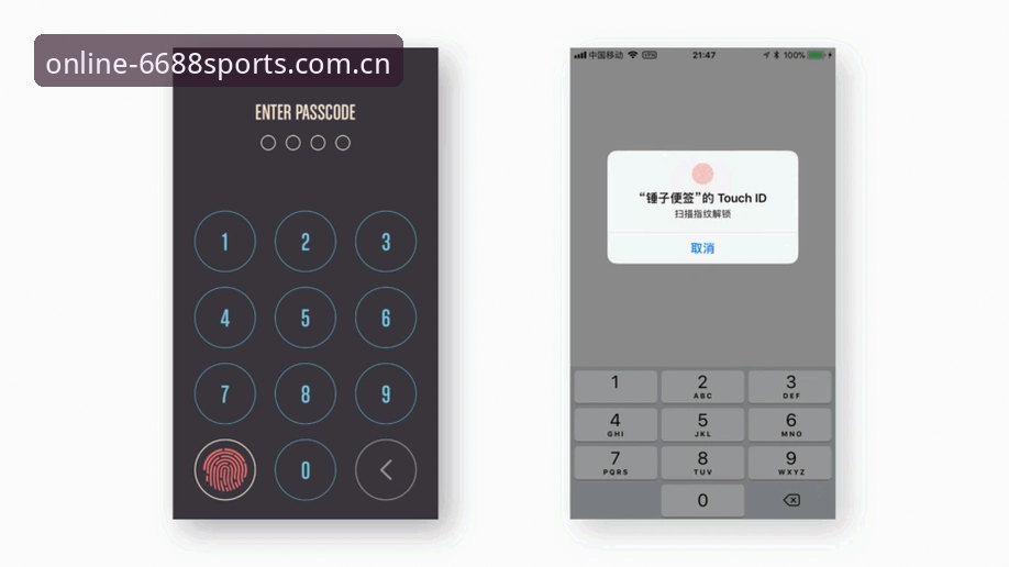 掌握6688体育登录流程的实用指南：从注册到安全登录全解析